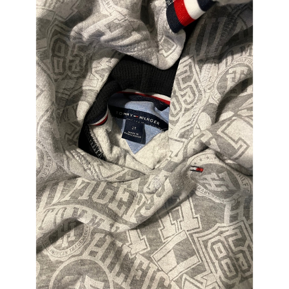 Boys Tommy Hilfiger Hoodie Size 2T Gray - Picture 2 of 3